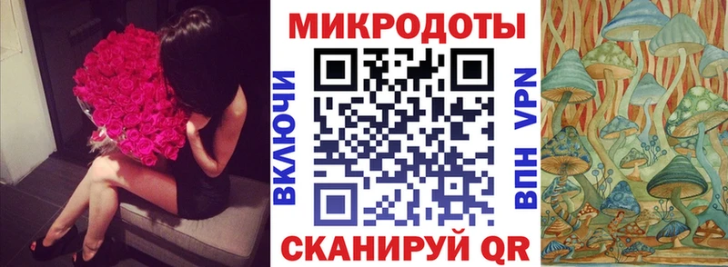 Псилоцибиновые грибы Cubensis  Ревда 