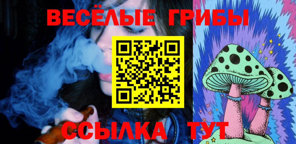 Галлюциногенные грибы ЛСД Ревда
