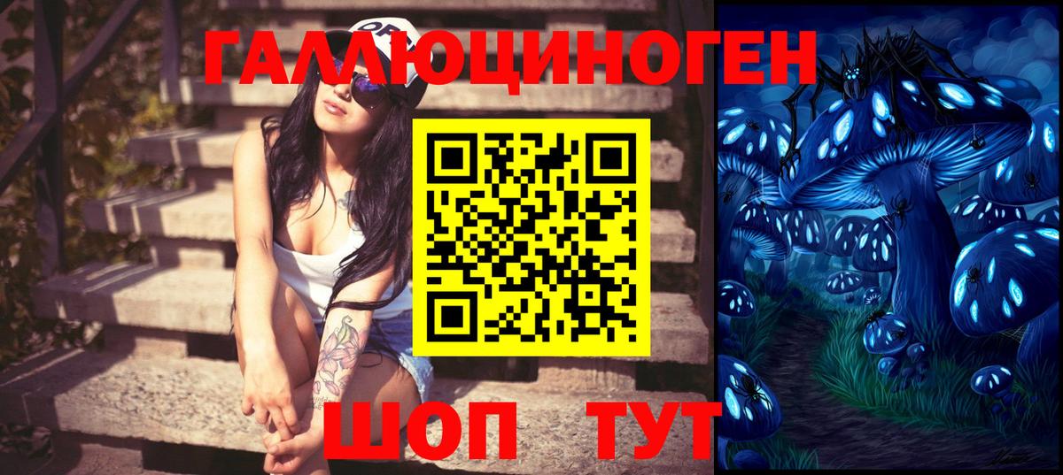 Псилоцибиновые грибы GOLDEN TEACHER  закладки  Вход с VPN  Ревда  Галлюциногенные грибы прущие грибы 