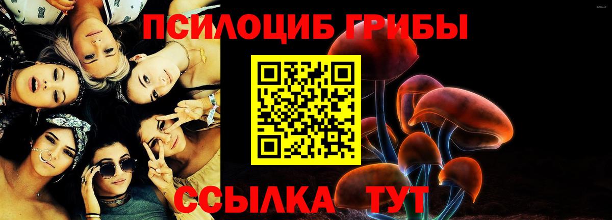 Ревда  что такое   Вход с VPN  Галлюциногенные грибы мицелий 